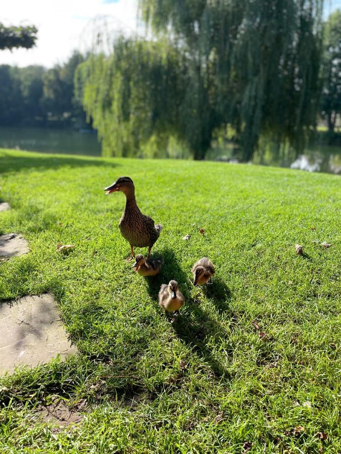 Gemuetliches Fachwerkhaus Am See Mit Kamin Warendorf Zewnętrze zdjęcie