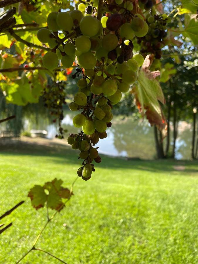 Gemuetliches Fachwerkhaus Am See Mit Kamin Warendorf Zewnętrze zdjęcie