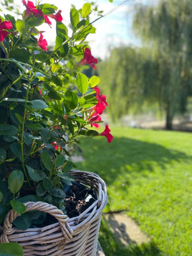 Gemuetliches Fachwerkhaus Am See Mit Kamin Warendorf Zewnętrze zdjęcie