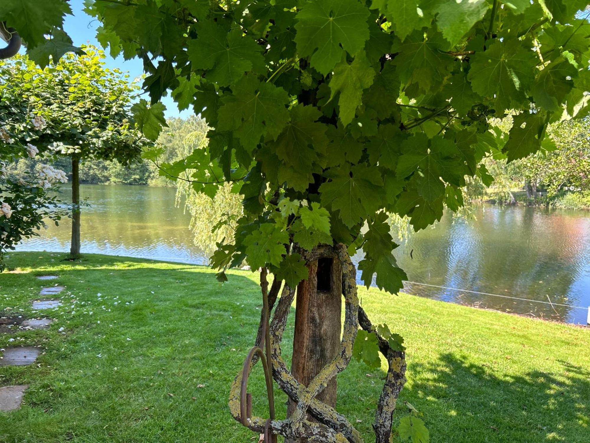 Gemuetliches Fachwerkhaus Am See Mit Kamin Warendorf Zewnętrze zdjęcie