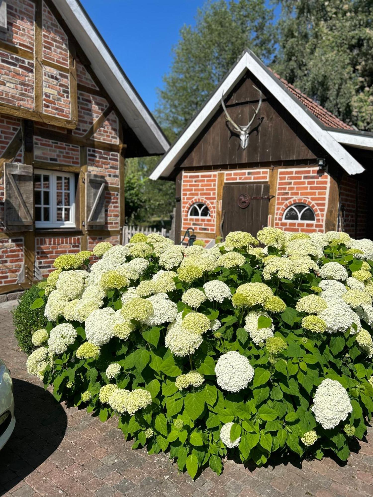 Gemuetliches Fachwerkhaus Am See Mit Kamin Warendorf Zewnętrze zdjęcie